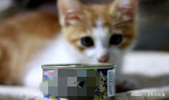 它經濟風起，國產寵物食品品牌陣營持續壯大